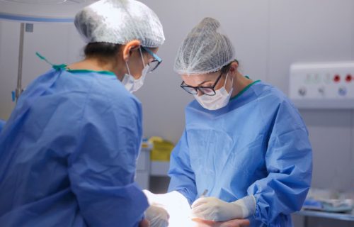 WhatsApp Image 2026-03-24 at 16.36.15